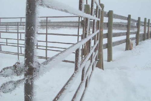 frosty gate1